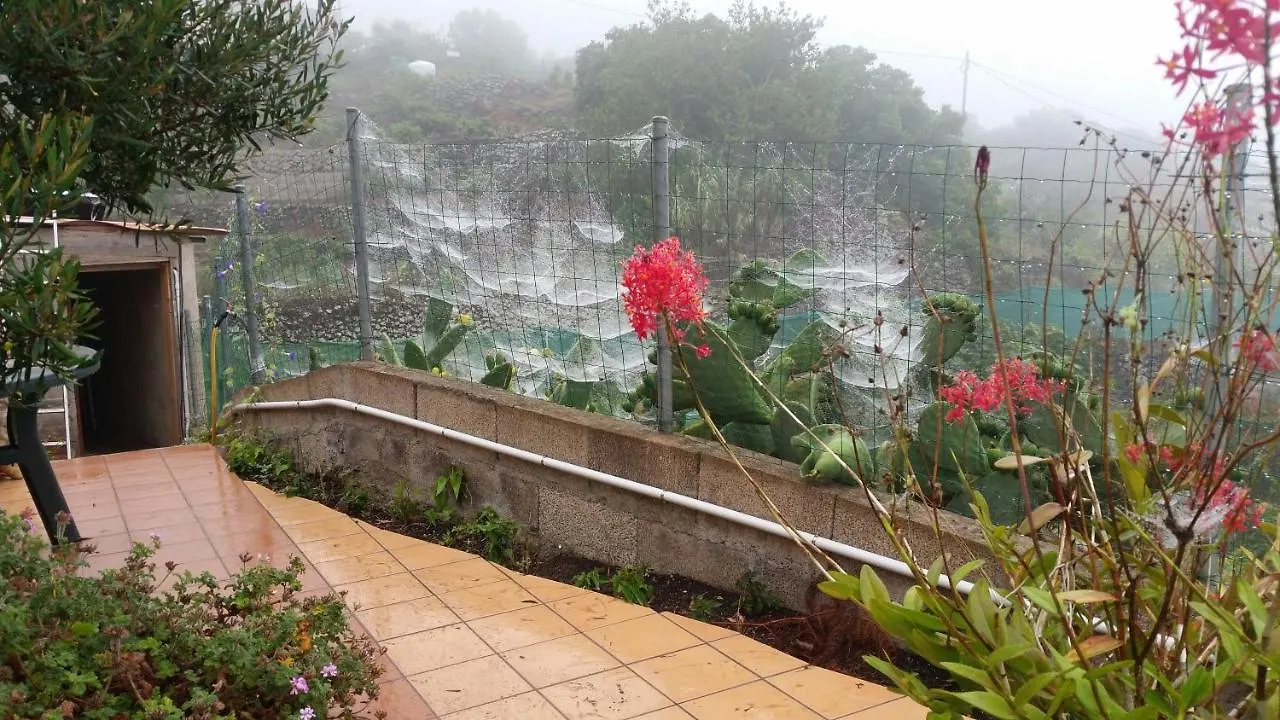 이코드레로스비노스 Finca Lomo De Castillo - Kleines Schloesschen Am Berg 빌라 펜션